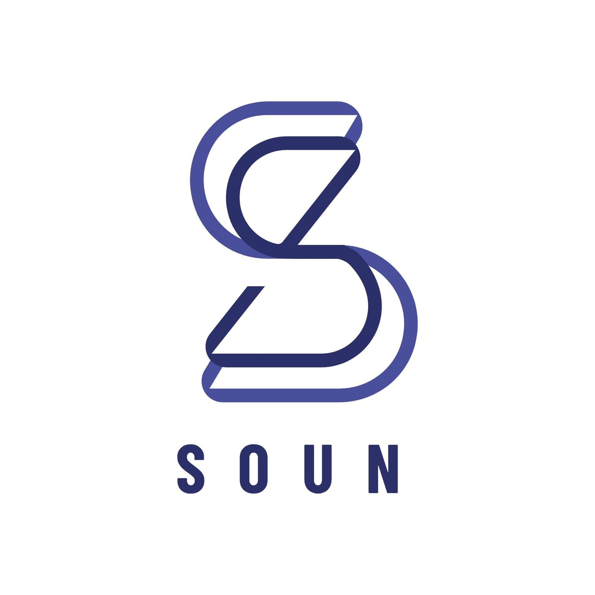 حزمة السيرة الذاتية الاحترافية من SOUN